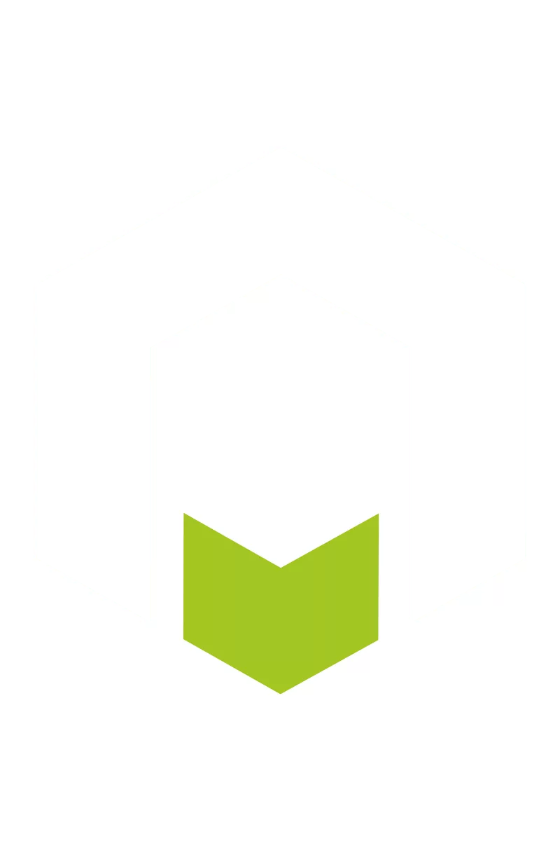 Icon Mask 2